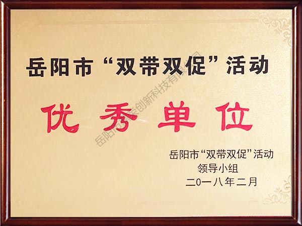 岳阳市“双带双促”活动优秀单位